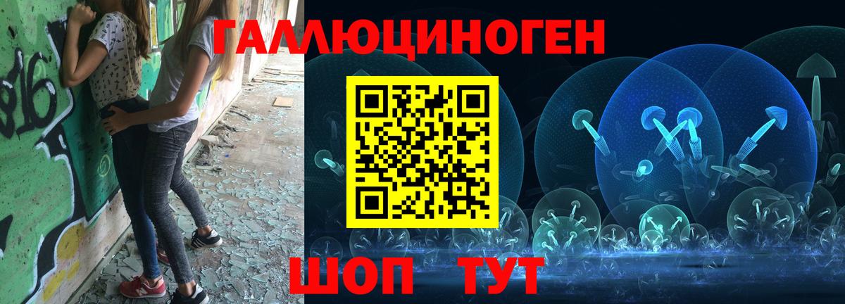 как найти   Галлюциногенные грибы Psilocybine cubensis  Вход с VPN  Ейск 